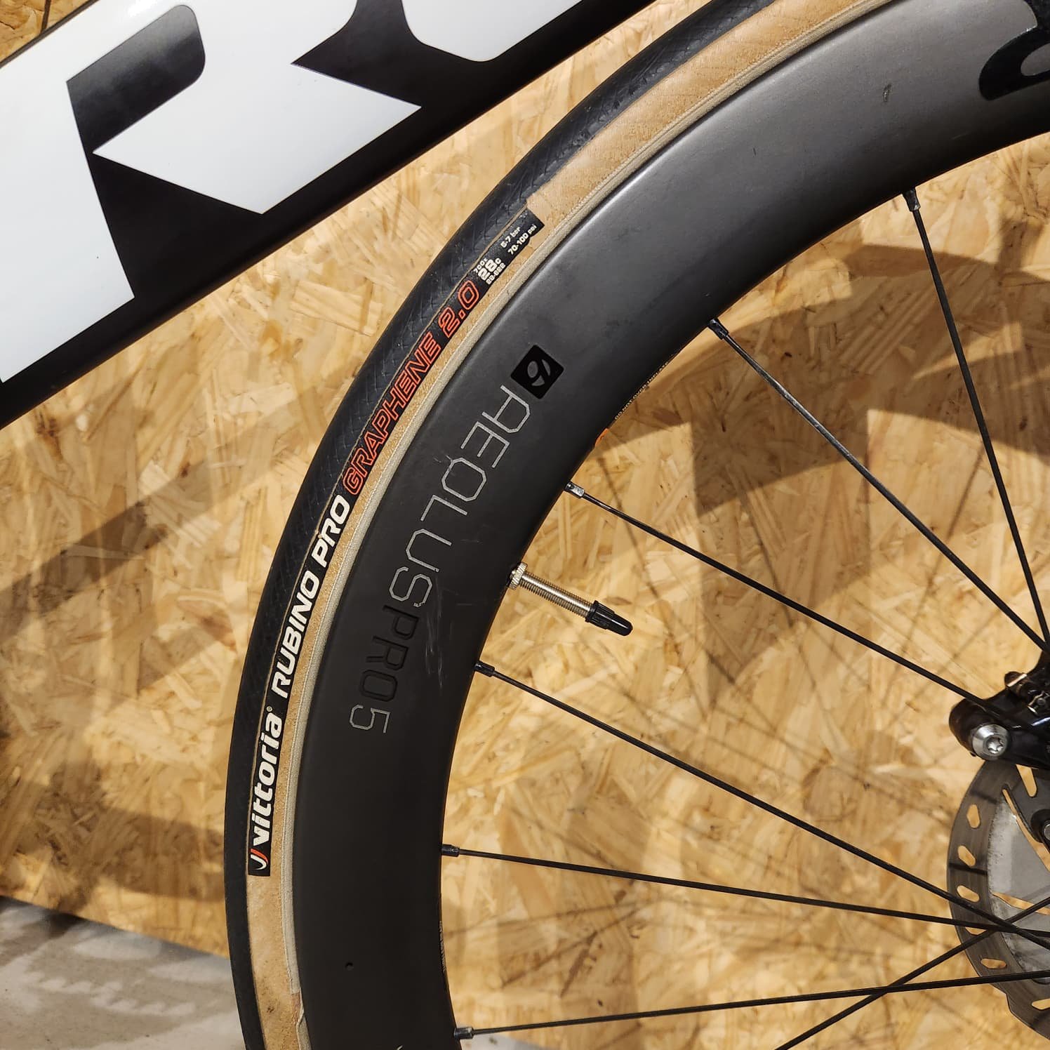 Trek Madone Speed Gen 6 — vista 5