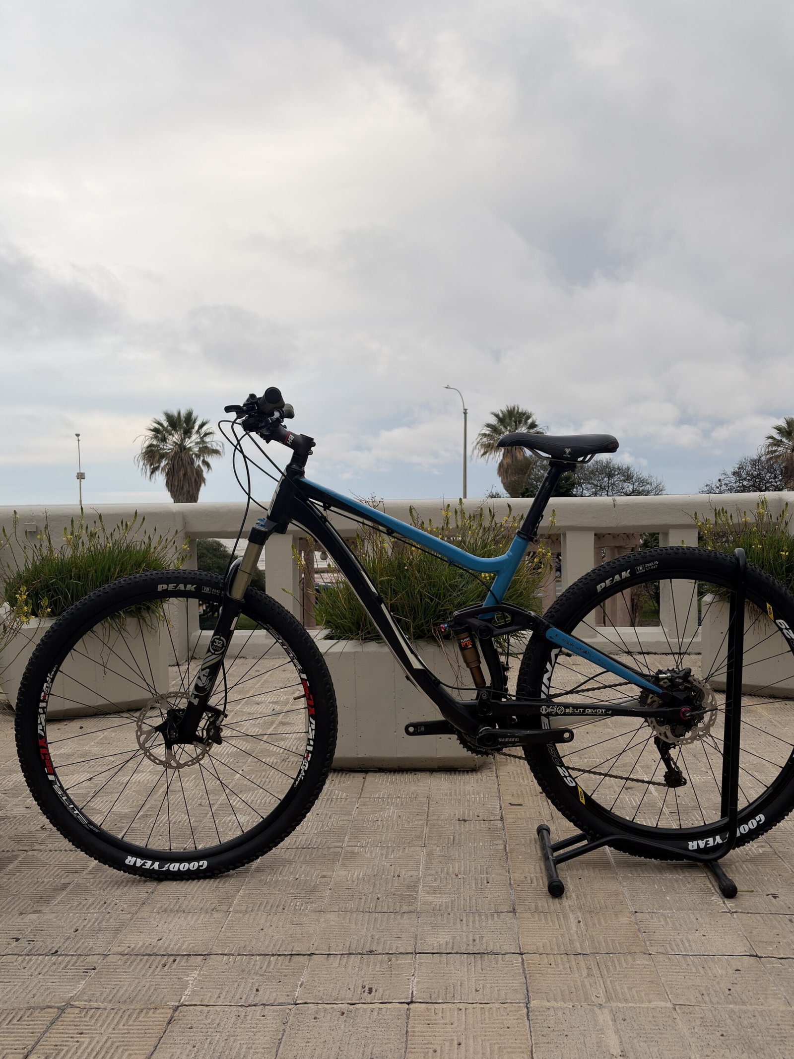 BH Lynx 4.8, vista 1