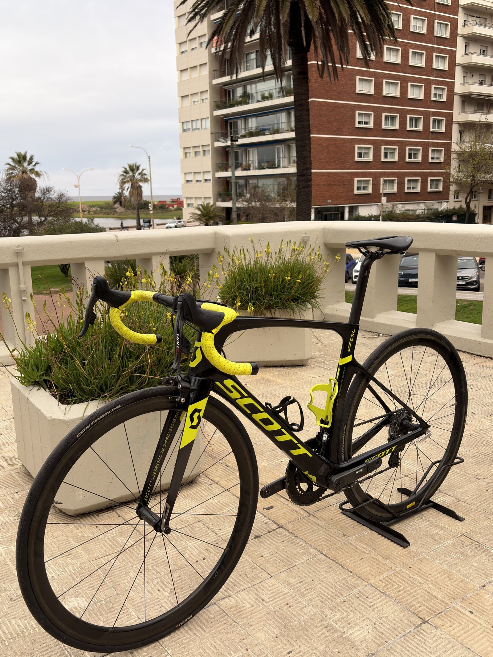 Scott Foil RC30, vista 2