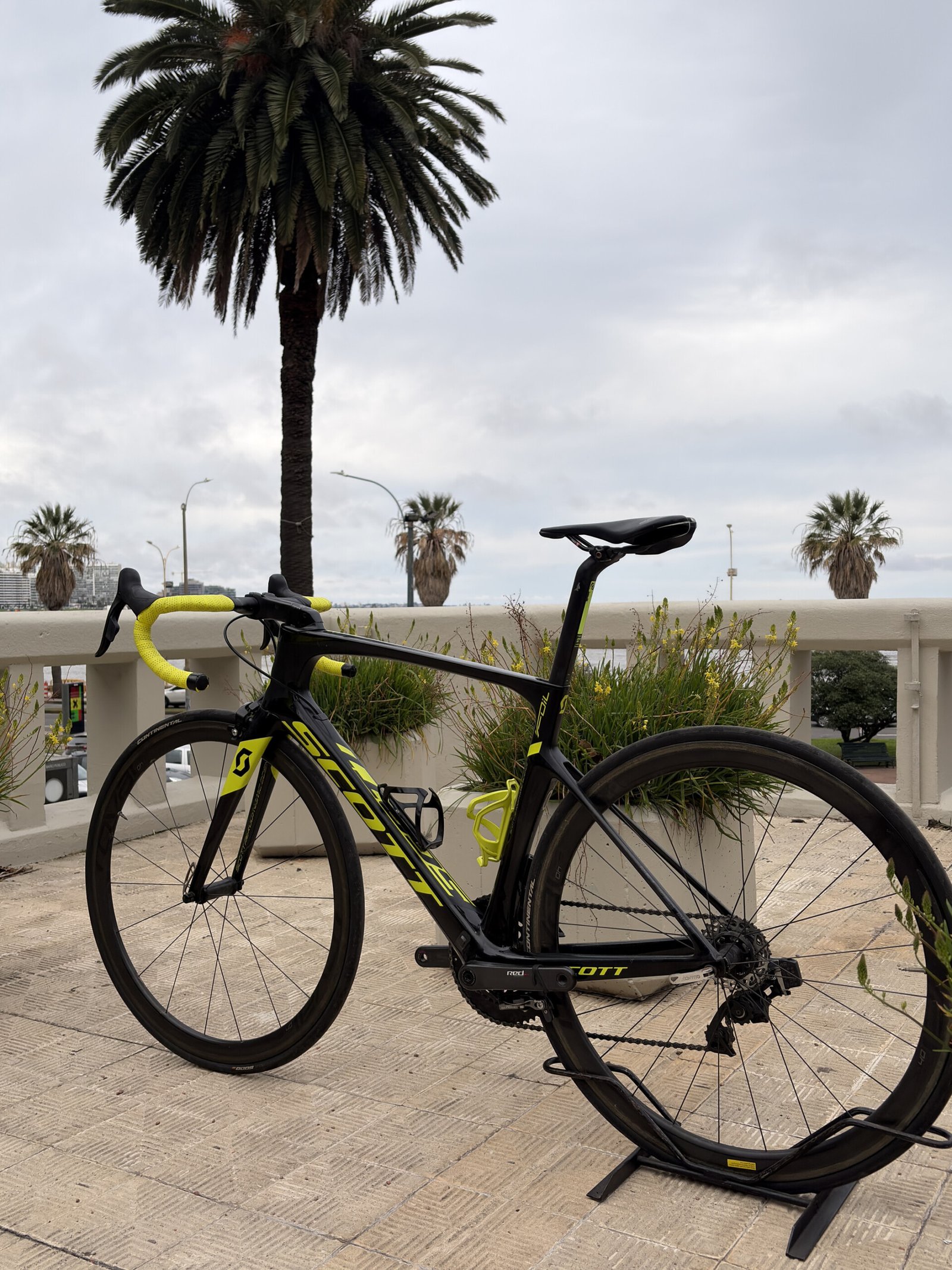 Scott Foil RC30, vista 3
