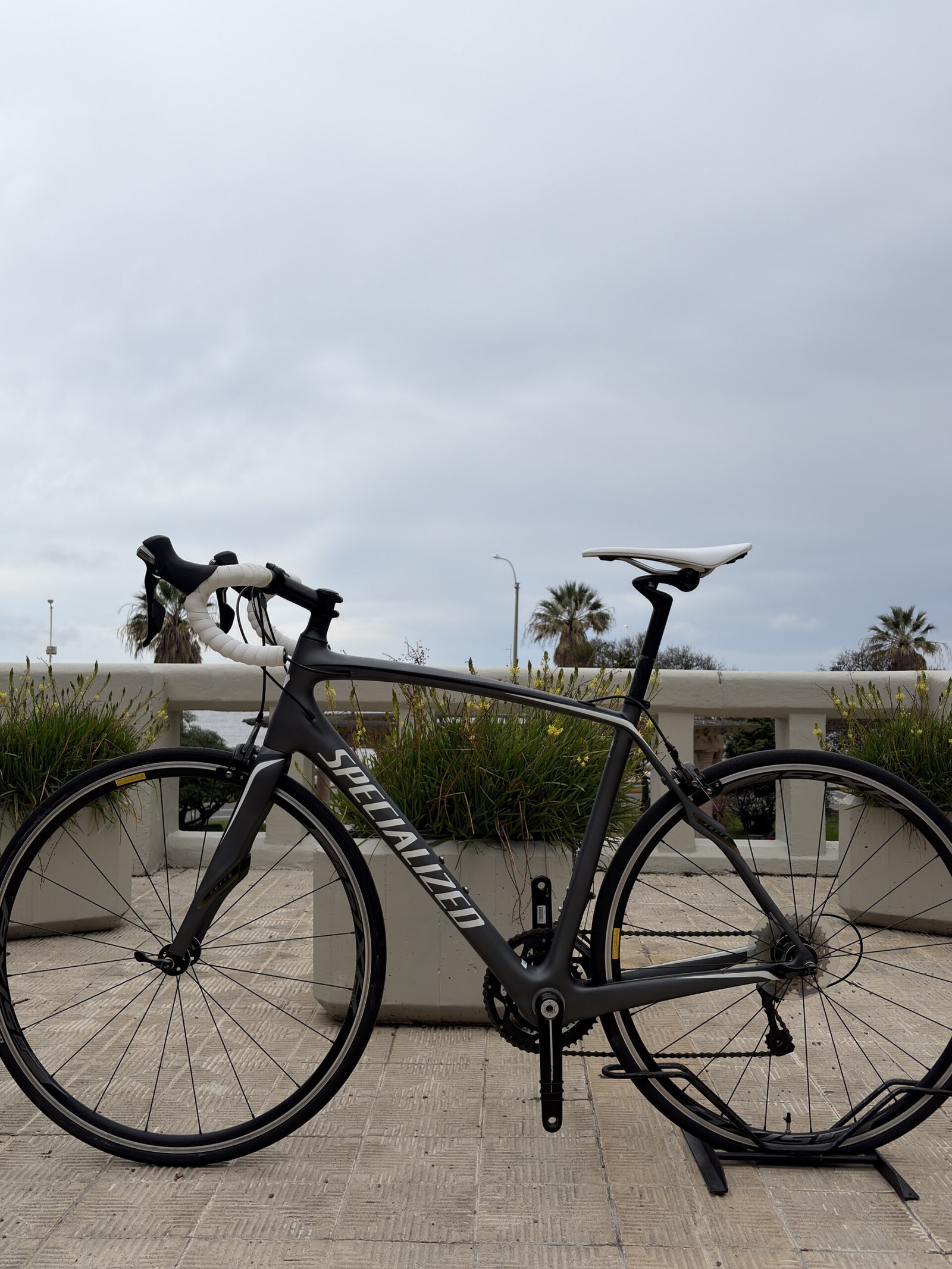 Specialized Roubaix SL4, vista 1