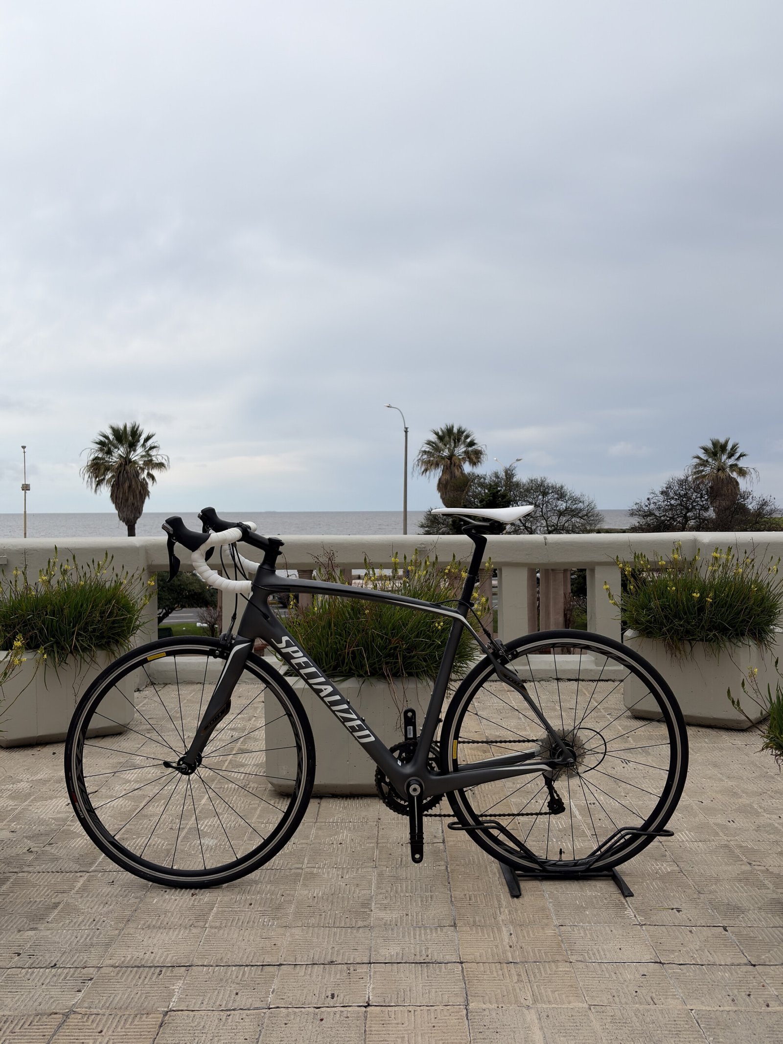 Specialized Roubaix SL4, vista 2