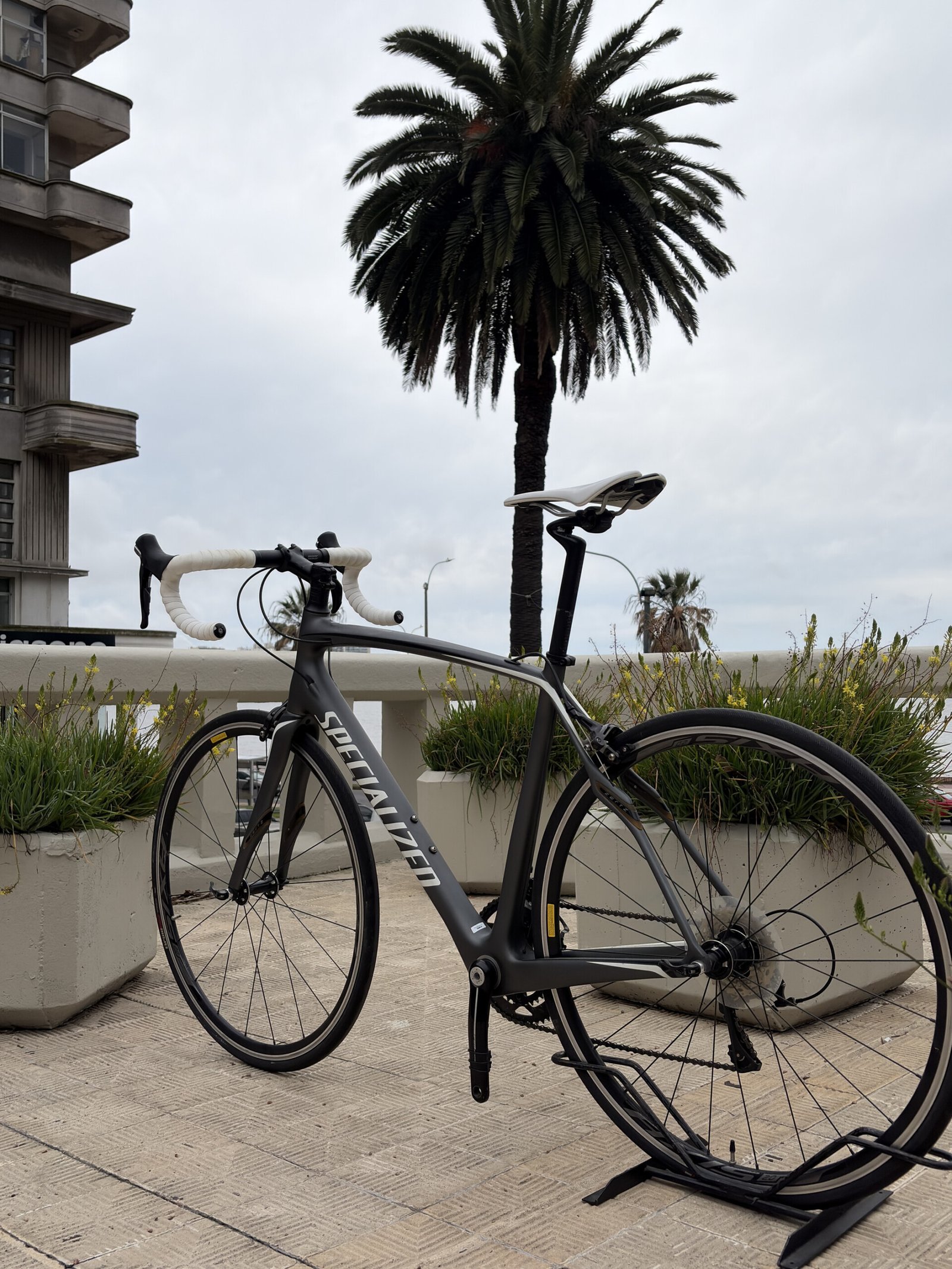 Specialized Roubaix SL4, vista 3