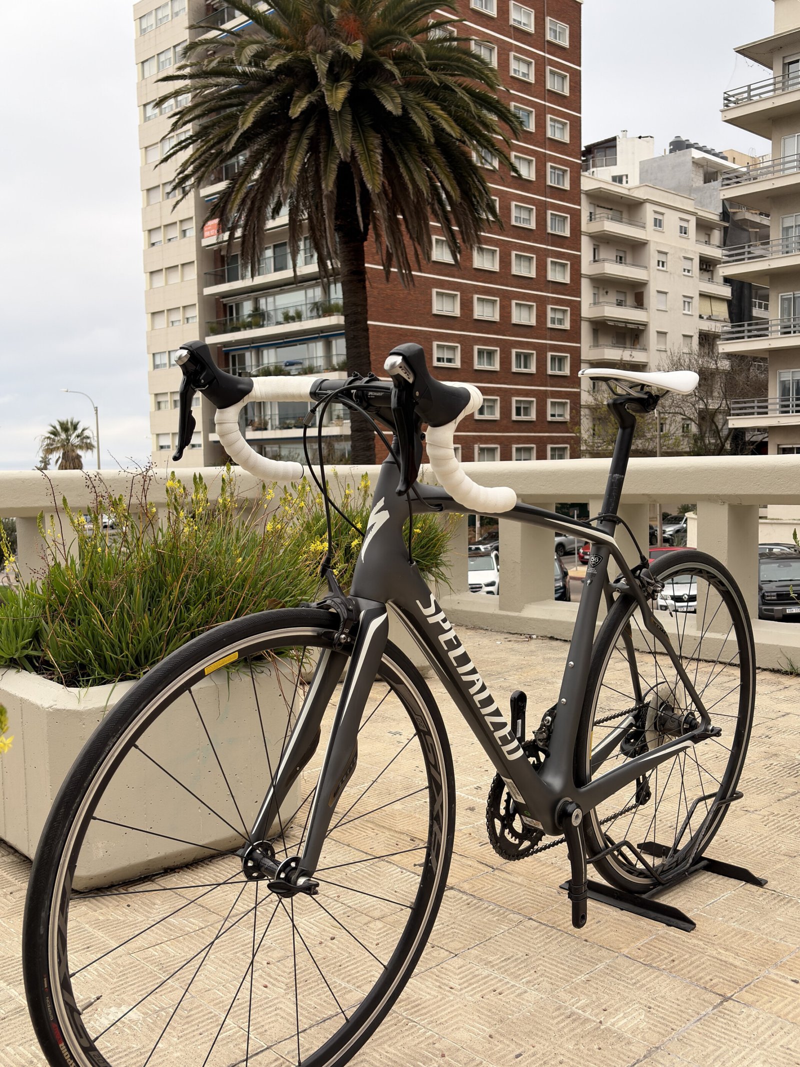 Specialized Roubaix SL4, vista 4
