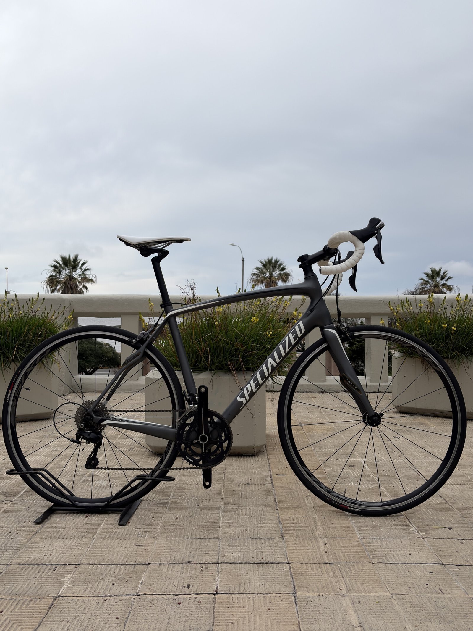 Specialized Roubaix SL4, vista 5
