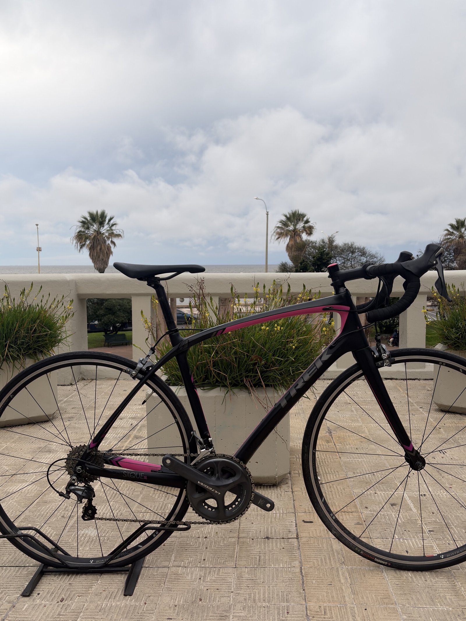 Trek Silque SL, vista 4