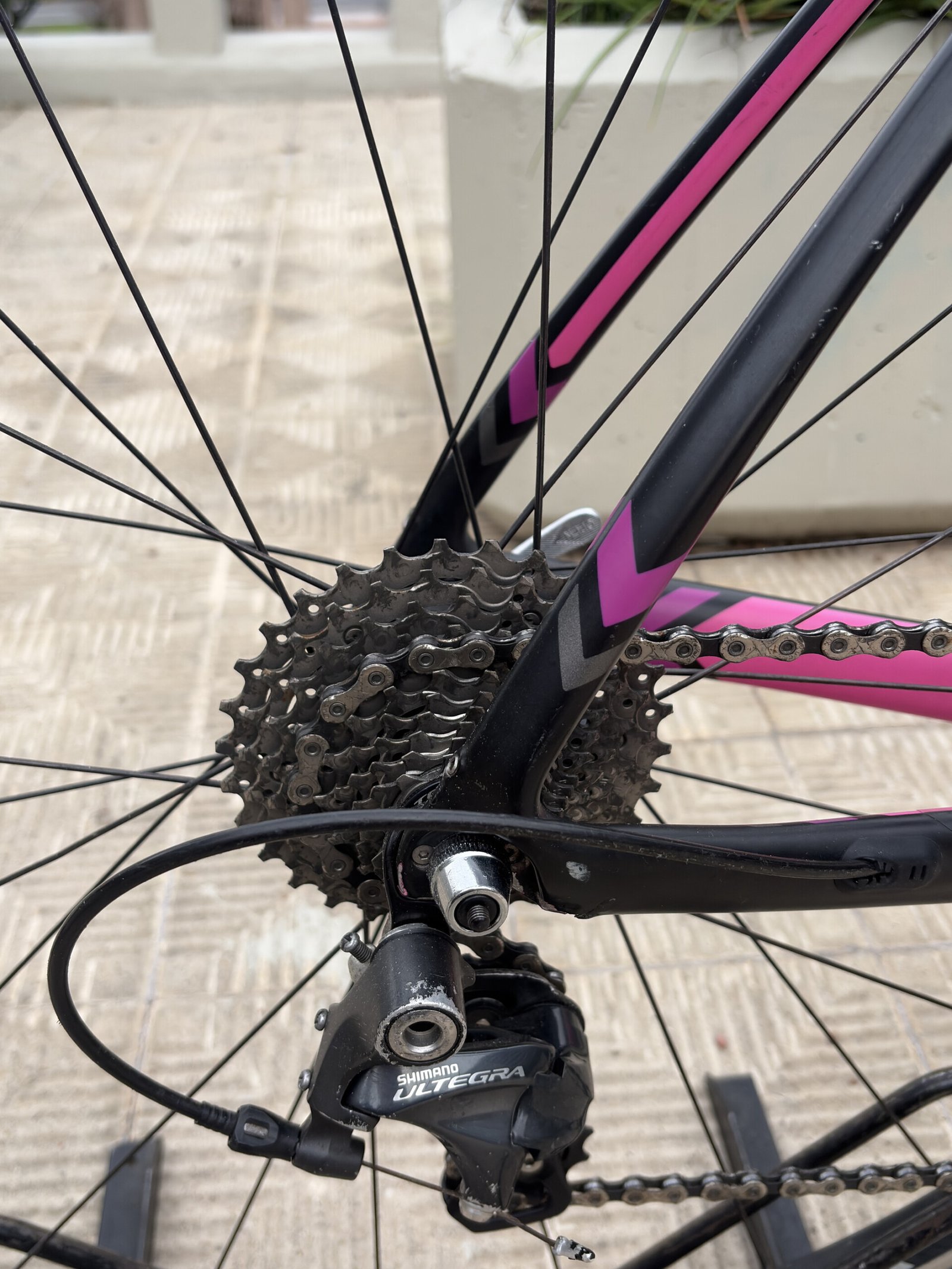 Trek Silque SL, vista 5