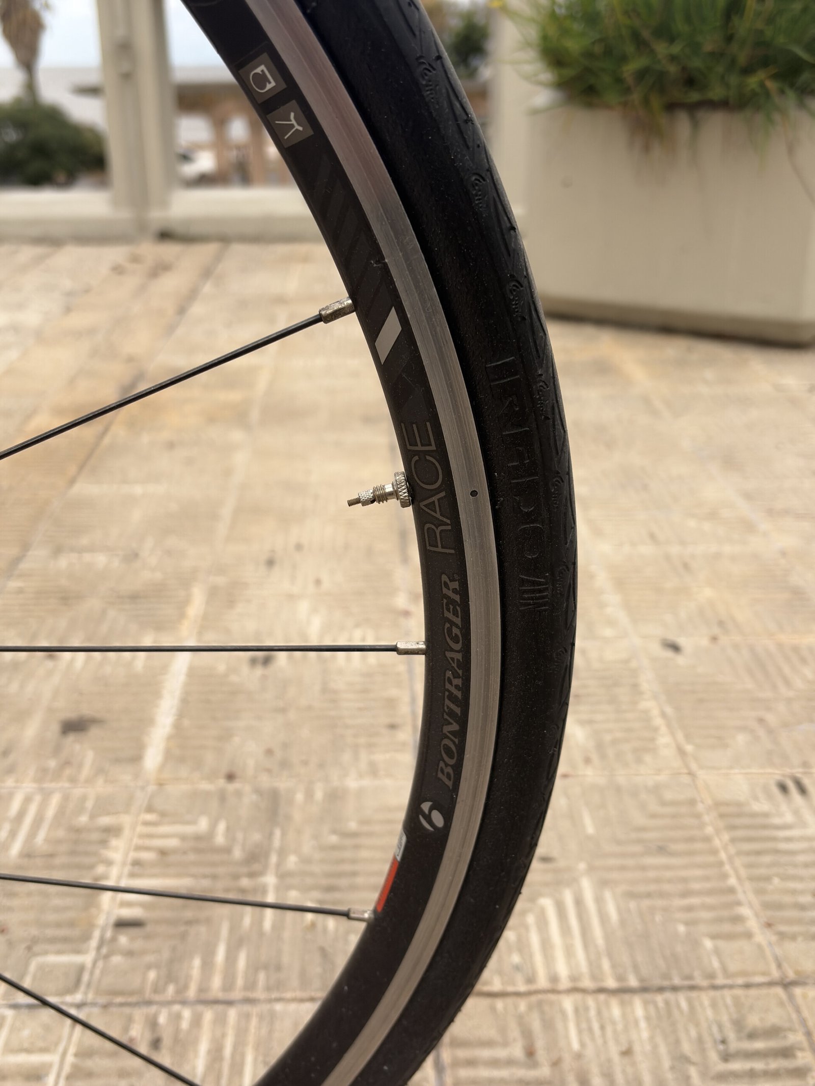 Trek Silque SL, vista 12